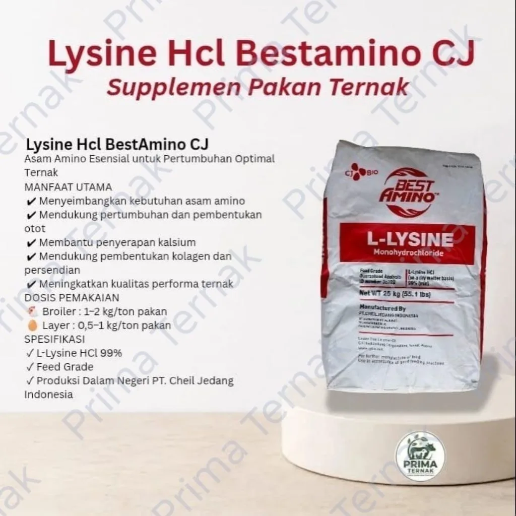 Lysine Hcl BestAmino CJ Cheil Jedang